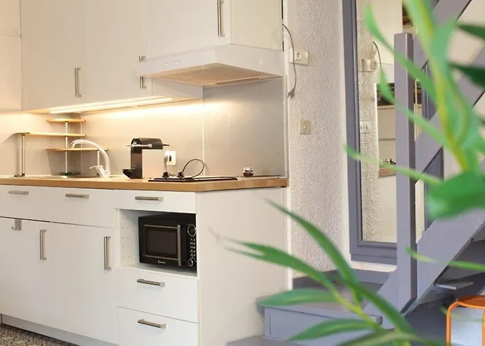 3 Pieces Climatise, Terrasse, 6 Couchages, Parking Prive, Animaux Admis - Fr-1-326-673 Marseillan (Herault)